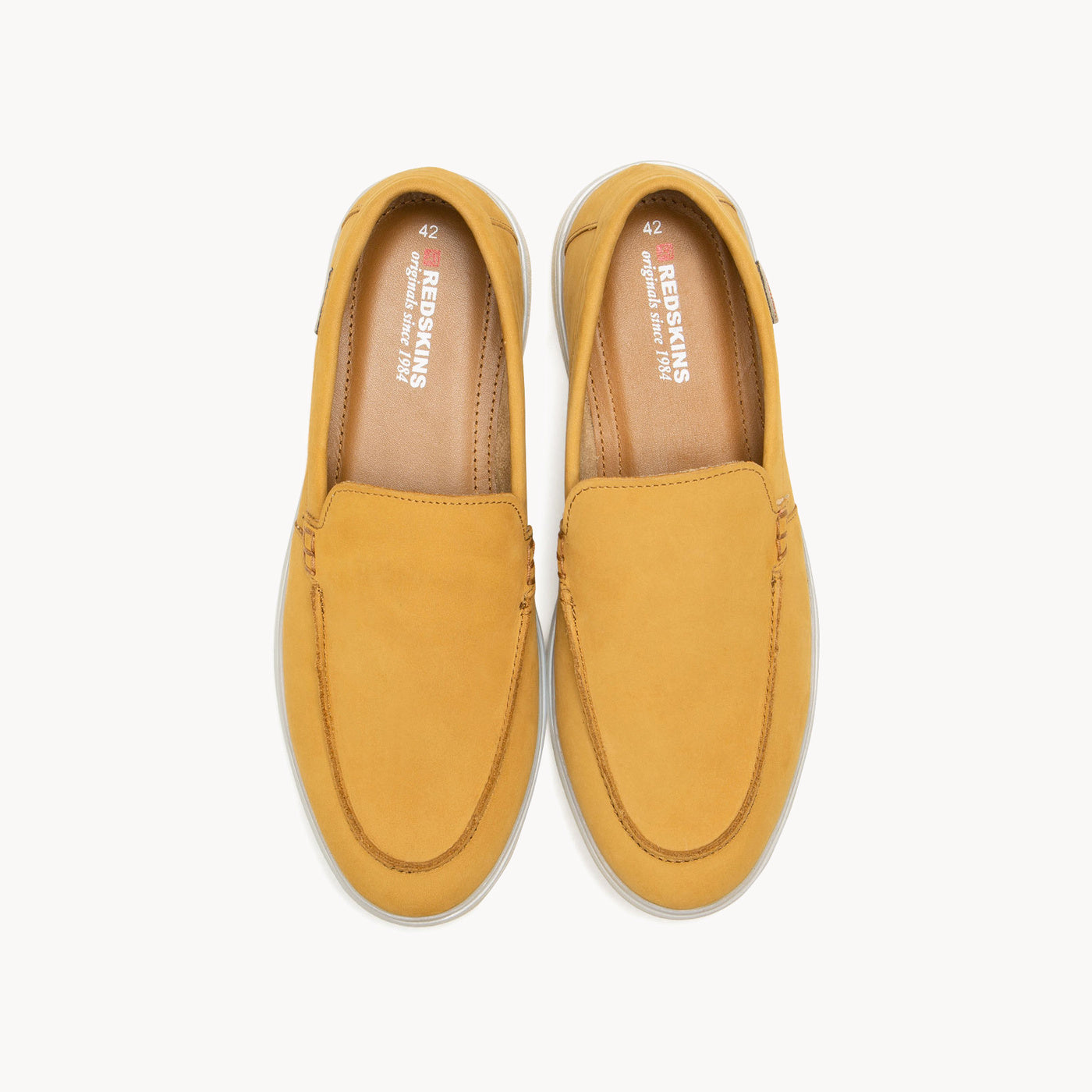 ARCANNI CAMEL - CLÉON