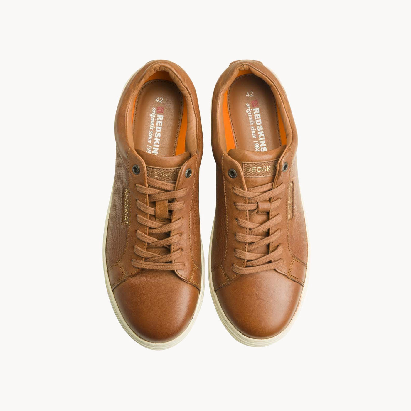 BAZINO COGNAC - CLÉON