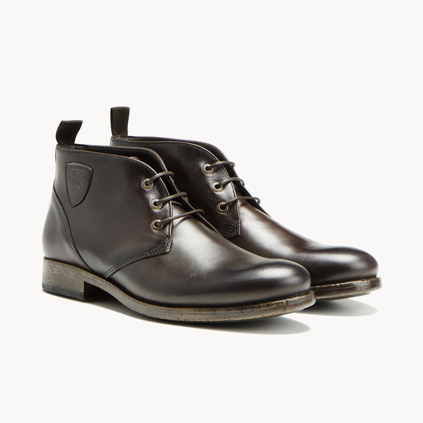 HICKOR CHATAIGNE - CLÉON