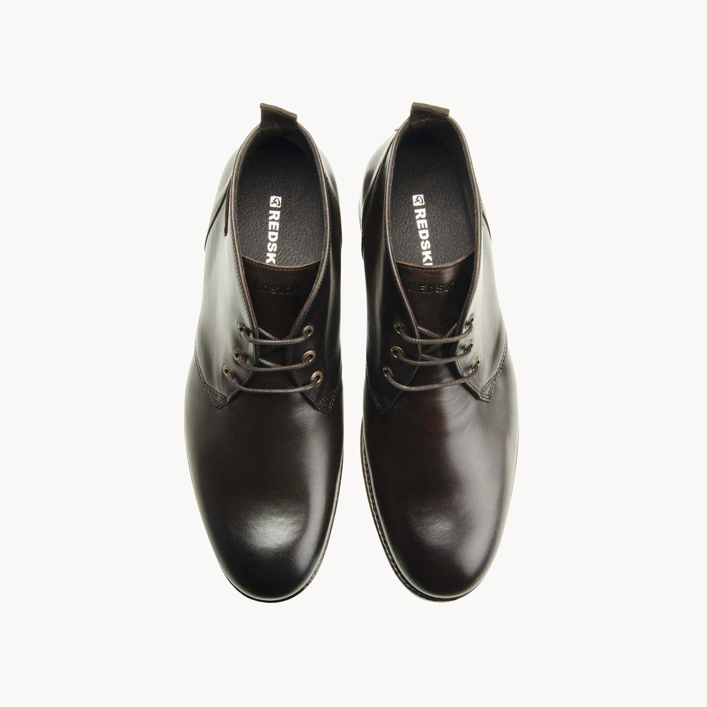 HICKOR CHATAIGNE - CLÉON