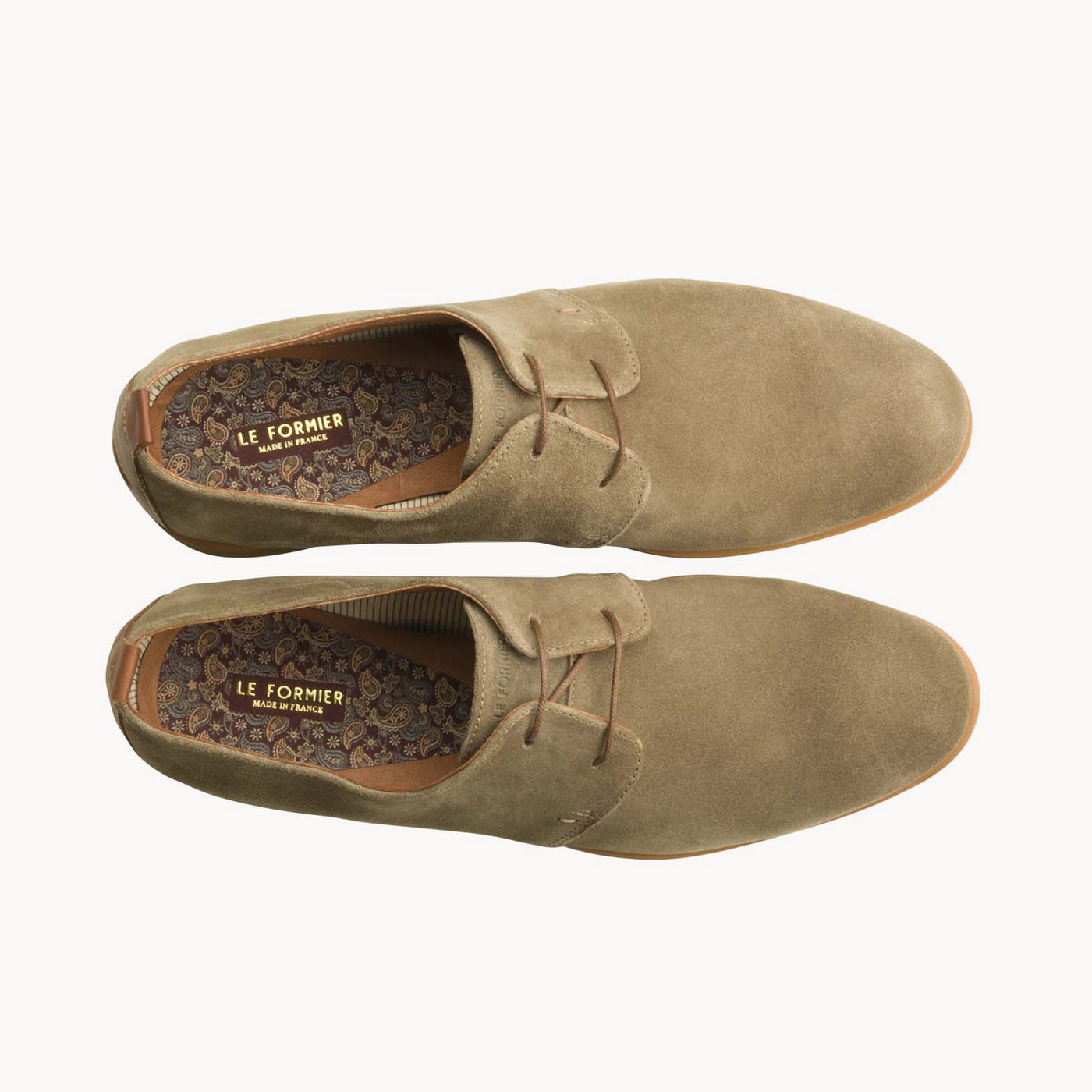 HYROME CASTOR - CLÉON