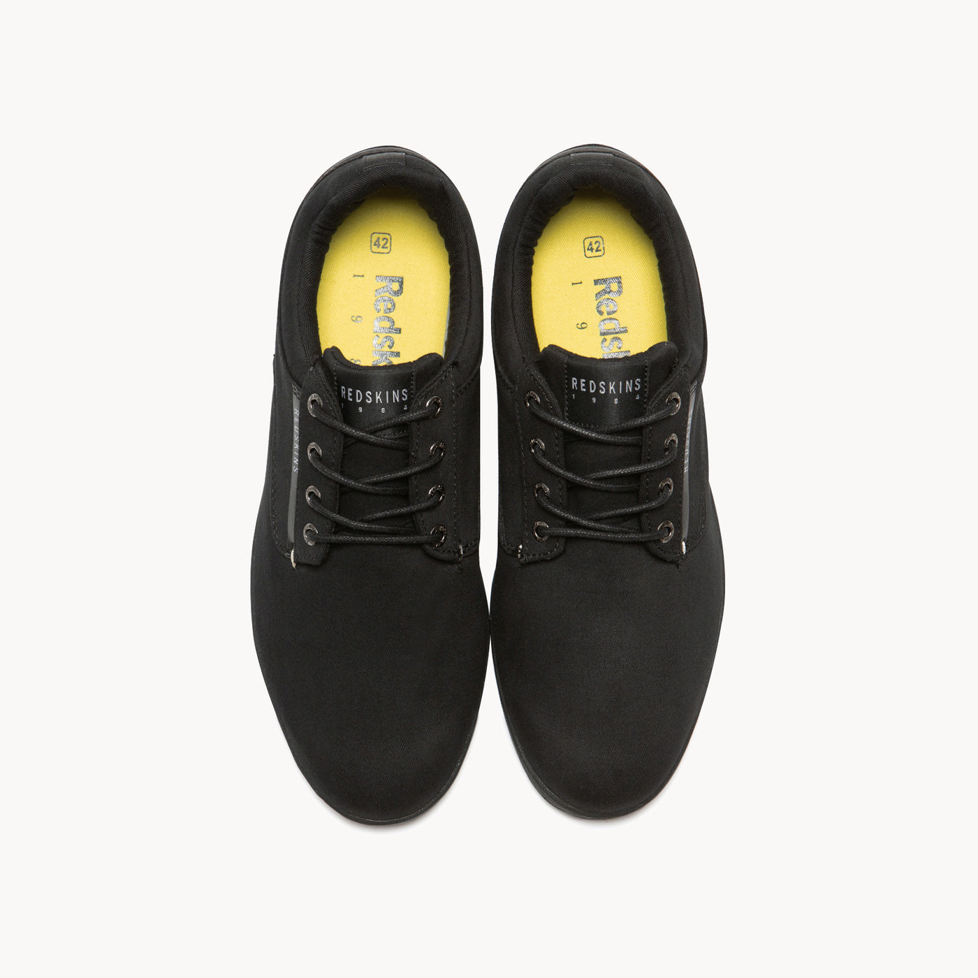 PACHIRA NOIR+NOIR - CLÉON